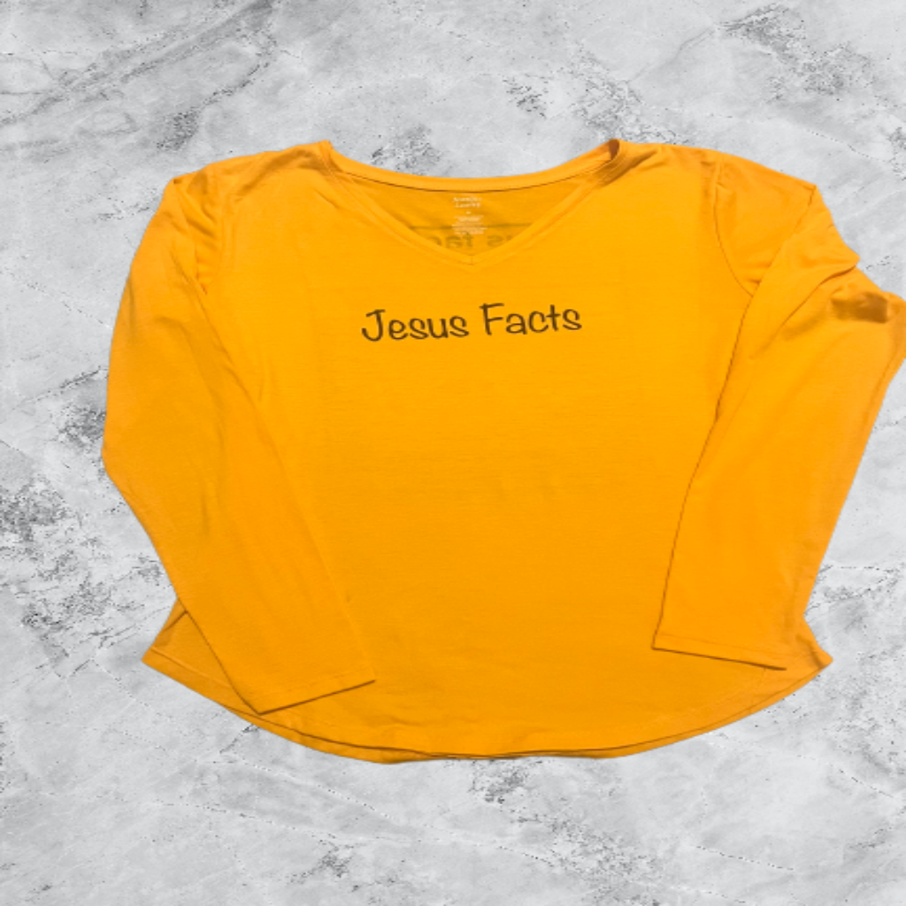 Jesus Facts Long Sleeve Tee